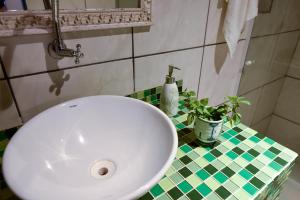 a bathroom with a white sink and a potted plant at Fazenda Poço das Pedras in São João do Cariri