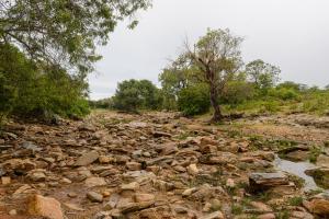 a rocky river with trees in the background at Fazenda Poço das Pedras in São João do Cariri