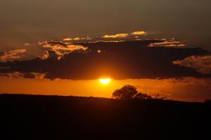 a sunset over a field with a tree in the foreground at Fazenda Poço das Pedras in São João do Cariri