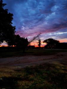 una puesta de sol en un campo con árboles en el fondo en The Farm Shop, en Groutfontein