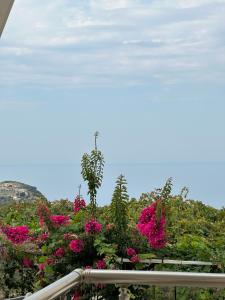 a view of pink flowers from a balcony at ELÉA Guesthouse himare in Himare