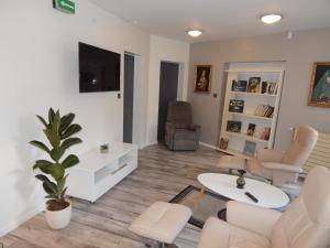 ein Wohnzimmer mit einem Sofa, Stühlen und einem TV in der Unterkunft Le jardin d'eden in Lourdes