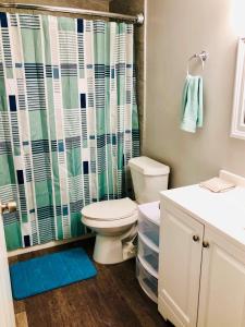 a bathroom with a toilet and a shower curtain at Holly Oaks in Columbus