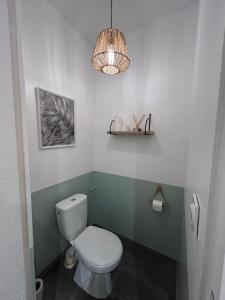 a bathroom with a toilet and a chandelier at La petite maison in Brienon-sur-Armançon