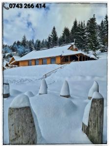 a snow covered yard with a building in the background at Cabana Dor de Apuseni in Cîmpeni