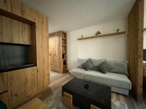 a living room with a couch and a tv at Grand Apartman Kopaonik in Kopaonik