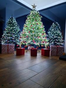 Dos árboles de Navidad en una habitación con regalos en Serenity Lodge, 