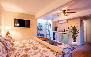 TV a/nebo společenská místnost v ubytování Charming Basement Studio Guesthouse 2 Blocks from UofA, Low Summer Rates!