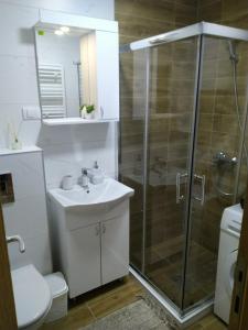 a bathroom with a shower and a sink and a toilet at Apartman Grujanac in Zlatibor