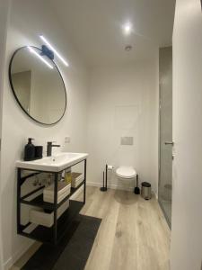een badkamer met een wastafel, een spiegel en een toilet bij Les amies in Blankenberge