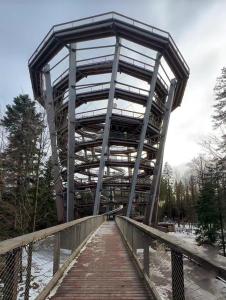 a large metal bridge over a wooden boardwalk at Waldhaus Max in Bad Wildbad +18 photos