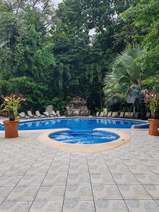 a swimming pool in a resort with chairs and trees at Evergreen Lodge in Tortuguero