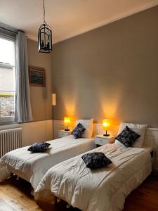 Dos camas en una habitación con dos lámparas. en Le manoir de la Cane, en Montfort-sur-Meu