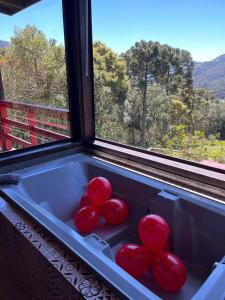 d'une baignoire avec des billes rouges à côté d'une fenêtre. dans l'établissement Chalés incríveis com banheira de hidromassagem e vista encantadora, à Urubici
