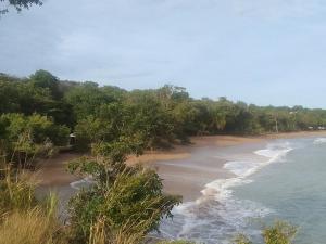 a view of a beach with trees and the ocean at Malaka Rose in Sainte-Rose