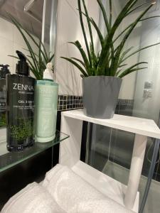 a bathroom with a bottle of soap and a plant at Le 15 - Appartement pour 4 personnes - Disneyland Paris in Esbly