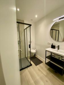 La salle de bains est pourvue d'une douche, d'un lavabo et d'un miroir. dans l'établissement Les amies, à Blankenberge