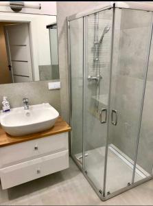 a bathroom with a shower and a sink at Przydatne do Podrózy MiniStudio przy Lotnisku in Warsaw