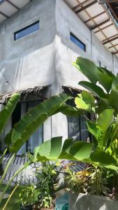 Un edificio con un mucchio di piante davanti di 2 bedroom family house in Lodge a General Luna