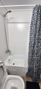 a bathroom with a shower curtain and a toilet at Acogedor Loft Centro De Santiago in Santiago