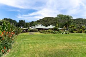 a large yard with a house in the background at Koru Lodge in Raglan