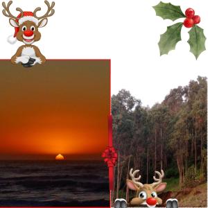 a picture of a reindeer and a picture of the sunset at Cabaña Villa los Delfines in Iloca