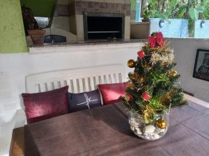 フロリアノポリスにあるDell Osky Pousadaのテーブルの上の花瓶のクリスマスツリー
