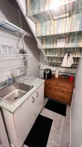 Baño pequeño con lavabo y encimera en Alluring Private Bachelor Unit, en Windsor