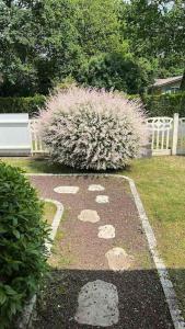 a garden with a pink bush in a yard at maison tout confort in Saint-Vivien-de-Médoc