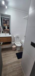 a bathroom with a toilet and a sink at Hermoso Depto En Casco Historico in Santiago