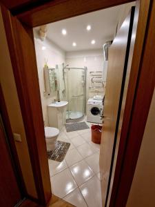 a bathroom with a shower and a toilet and a sink at Kaunas Center Apartment in Kaunas