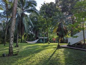 a hammock in the middle of a yard with palm trees at Paraiso Cocodrilo lodge - spirit of nature in Sámara