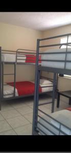 Zimmer mit 2 Etagenbetten in einem Zimmer in der Unterkunft Crocodhouse ,parking ,free coffee in Fort Lauderdale