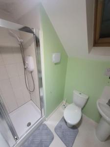 a bathroom with a shower and a toilet and a sink at - Modern 3 Bed in Newport - Close to City Centre - in Newport