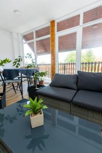 ein Wohnzimmer mit Sofa und Tisch in der Unterkunft Apartments for families with children Darda, Baranja - 21982 in Darda