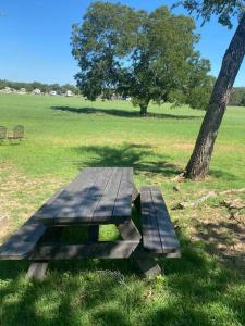a picnic table in a field next to a tree at The Rock House Hideaway - TANK HOUSE in Fredericksburg