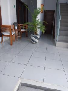 Fotografie z fotogalerie ubytování Chua Guest house Canggu v destinaci Canggu
