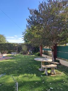 Toay的住宿－Casa Belén，一个带野餐桌和树的公园