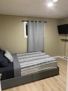 Gallery image of Bellaire Midtown Cottage in Bellaire +14 photos