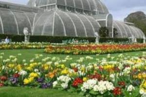 a field of flowers in front of a greenhouse at Beautiful apartment in Kew, Richmond London with Free Underground Parking in London