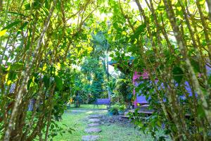 a garden with a bench and trees in the background at Heimanarii's Lodge - Fare Fetia in Haapiti +2 photos