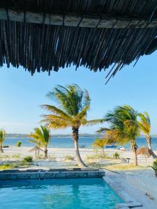 a swimming pool with a view of a beach with palm trees at Shongili Island Lodge in Vila Praia Do Bilene