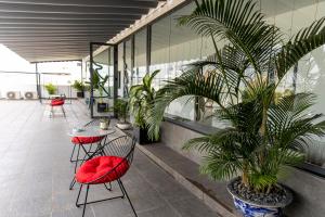 a patio with a table and chairs and palm trees at DOME APARTMENT in Nhơn Trạch