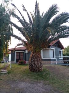 a palm tree in front of a house at Cabañas Sangiovese San Rafael in San Rafael