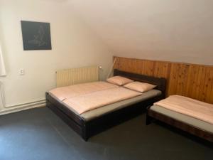 een slaapkamer met 2 bedden in een kamer bij Chata Barbora in Lučany nad Nisou