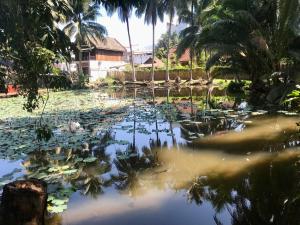 a pond filled with lily pads and palm trees at Luangprabang Villa bouathong Hotel in Luang Prabang