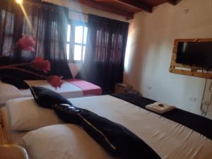 Postel nebo postele na pokoji v ubytování Casa Hostal La Vie en Rose