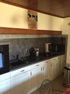 - un comptoir de cuisine avec évier et four micro-ondes dans l'établissement Maison&jardin charmant&typique au cœur du Conflent, à Sahorre