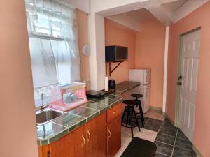 a small kitchen with a sink and a refrigerator at C&M Suites in Roseau