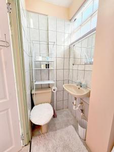 a small bathroom with a sink and a toilet at C&M Suites in Roseau